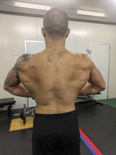 Dettaglio sviluppo schiena e spalle